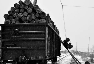 再見(jiàn)了電動(dòng)絞盤！你是林業(yè)工人的好伙伴